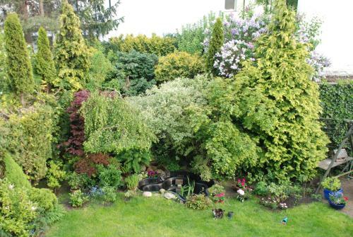 Apartament Balladyny