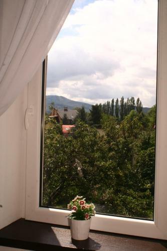 Albergue Beskidpark