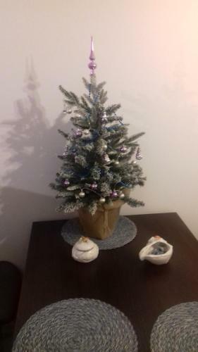 Karmazynowy Apartament Nad Morzem
