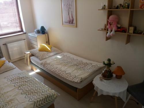 Apartament W G?ogowie