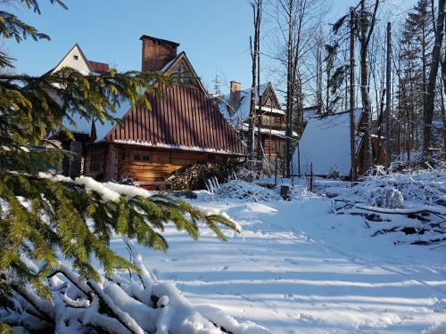 Domek Drewniany Tetmajera Centrum Zakopane