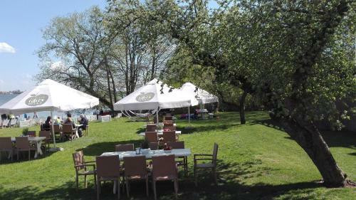 Hostal Stare Sady Chillout Rooms