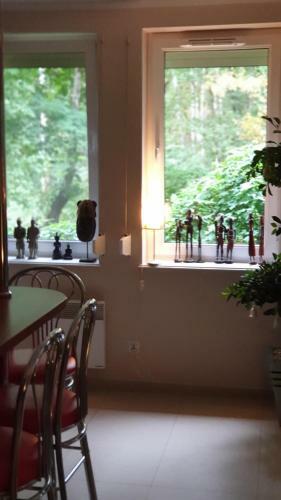 Apartament Morskie Oko