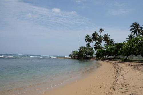 Paradigm Villa Dorado