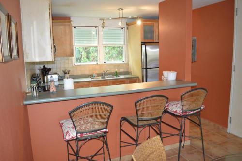 Beach Front Apartment Rio Mar Puerto Rico