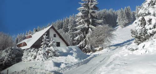 Hostal Penzion Fiala
