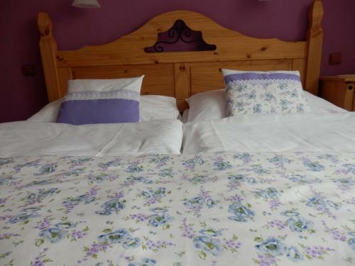 Hostal Penzion Jano?t�k