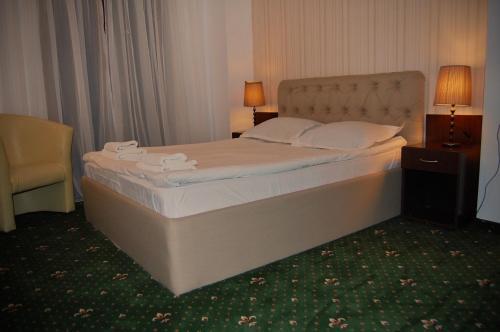 Hotel Art Montana