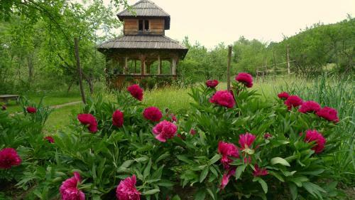 Woodenhouse Maramures