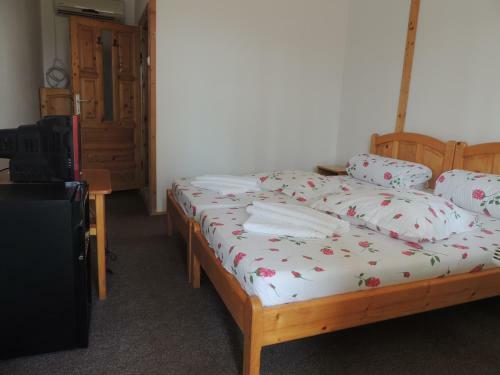 Hostal Pensiunea Iulia Sulina