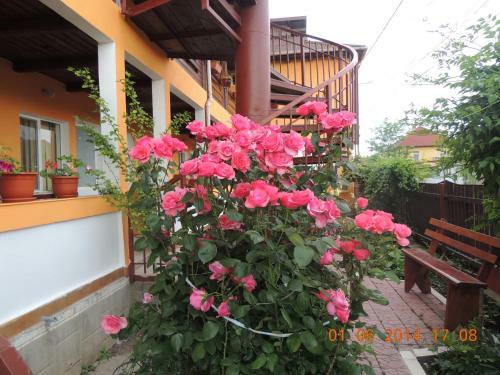 Hostal Pensiunea Iulia Sulina