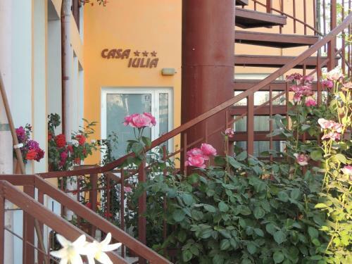 Hostal Pensiunea Iulia Sulina