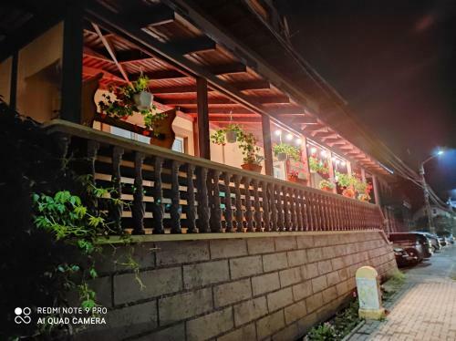 Hostal Pensiunea Viorica