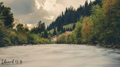 Hostal Pensiunea Viorica