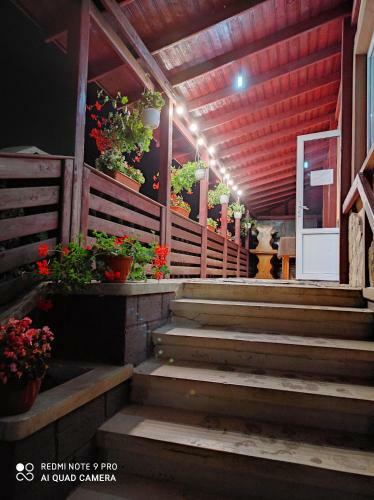 Hostal Pensiunea Viorica