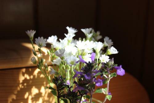 Hostal Ranger Chalet