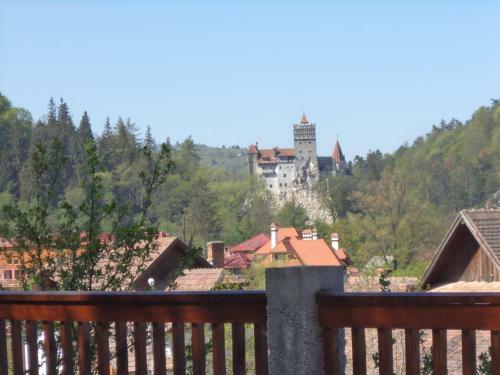 Hostal Pensiunea Transilvania Lodge