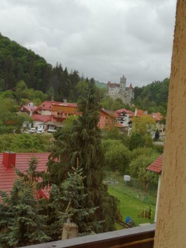 Hostal Pensiunea Transilvania Lodge