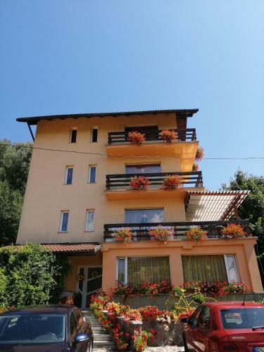 Hostal Pensiunea Transilvania Lodge