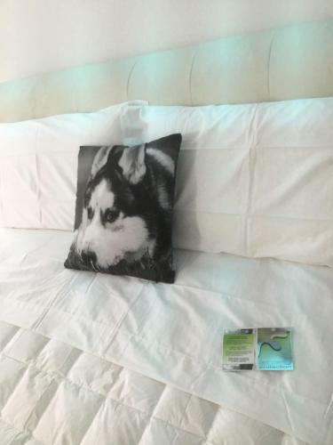 Apartamento White Dream Suites