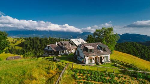 Lodge Amfiteatrul Transilvania