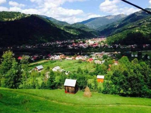Lodge Cabana Din Varf