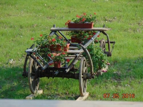 Agroturismo Casutele Din Moisei