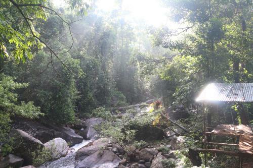 Hotel Girankiththa Eco Resort
