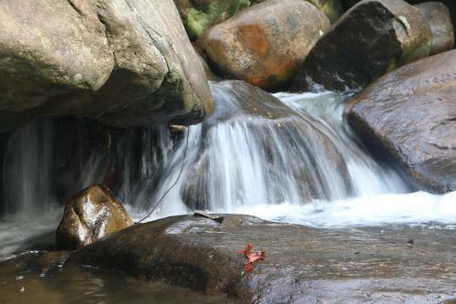Hotel Girankiththa Eco Resort