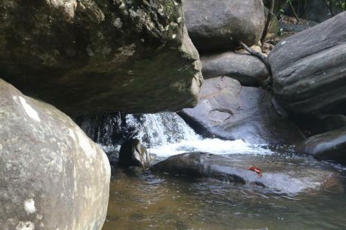 Hotel Girankiththa Eco Resort