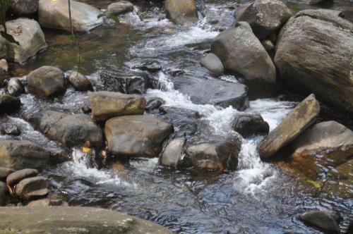 Hotel Girankiththa Eco Resort