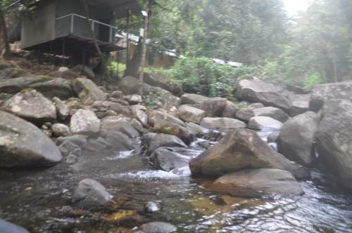 Hotel Girankiththa Eco Resort
