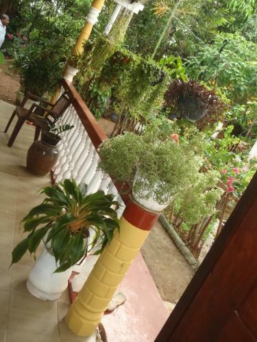 Bed & Breakfast New Jaya Villa