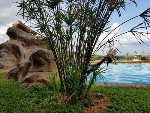 Agroturismo Numbi Hills Farm