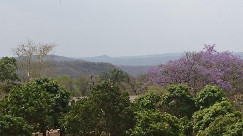 Agroturismo Numbi Hills Farm