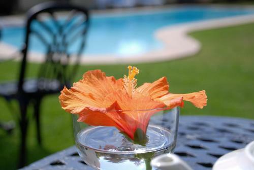 Hostal Mandalay Guest House Plettenberg Bay