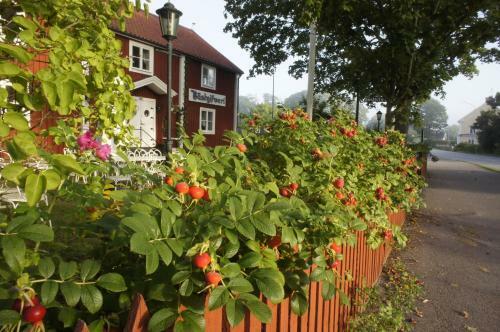 Hostal P�skallaviks G�stgifveri