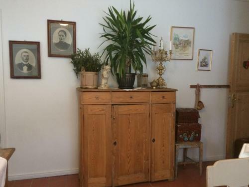 Hostal Wasa Fj�llg�rd