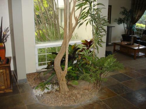 Hostal Bella Vista Guest House