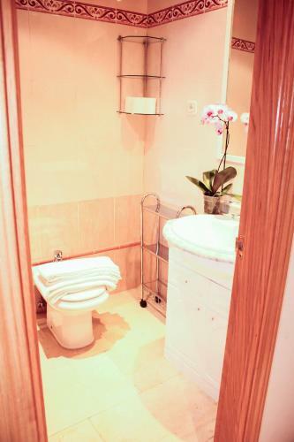 Apartamentos Caballero De Gracia
