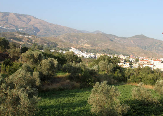 Hotel Puerta Nazar�
