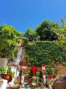 Bed & Breakfast Carmen Del Cobertizo