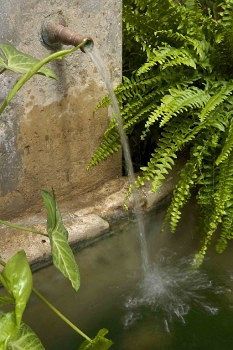 Bed & Breakfast Carmen Del Cobertizo