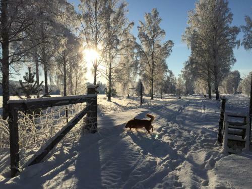 Albergue G�stgivars Vandrarhem Och B&B