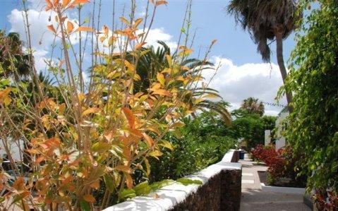 Apartamentos Guacimeta
