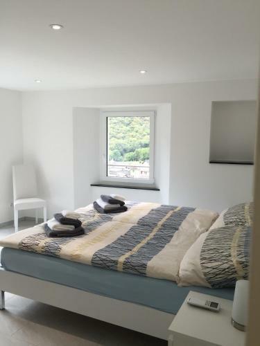 Apartamento Casa In Selva