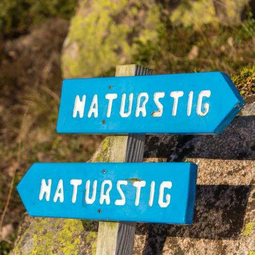 Sel�ter Camping