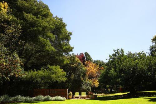 Bed & Breakfast Andante Lodge
