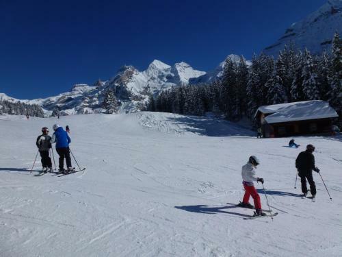 Apartamento Ferienwohnung Chalet Bergblume