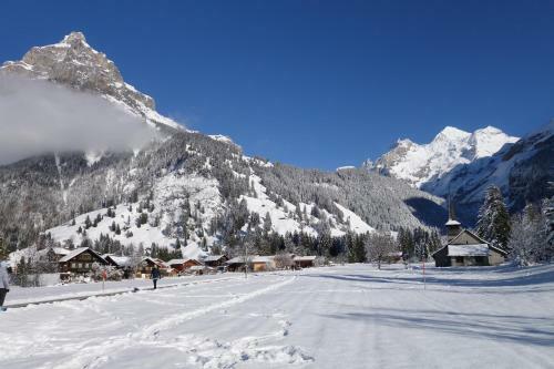 Apartamento Ferienwohnung Chalet Bergblume